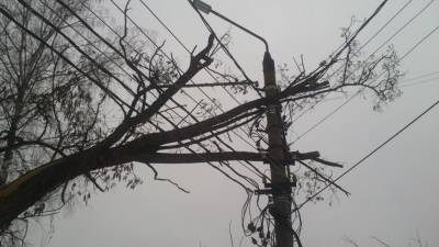 Жители города на Сахалине остались без света из-за обледенения провода