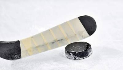 Сборная России обыграла шведов в матче молодежного ЧМ по хоккею