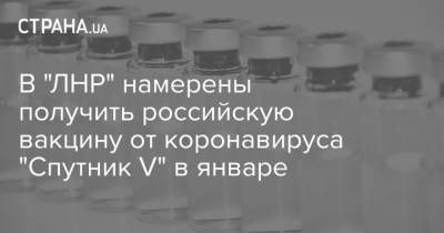 В "ЛНР" намерены получить российскую вакцину от коронавируса "Спутник V" в январе