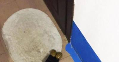 Черная коробка: матери Шабунина под дверь подбросили гранаты, — полиция
