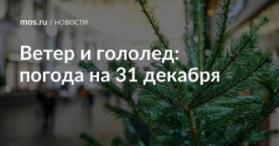 Ветер и гололед: погода на 31 декабря - mos.ru - Москва