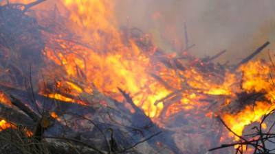 Спасатели два дня боролись с лесным пожаром в Сочи