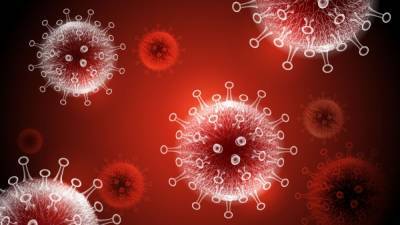 Ровно год назад ВОЗ узнала об обнаружении нового коронавируса