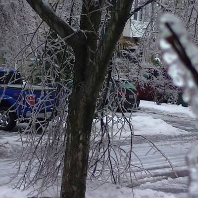 В некоторых районах Москвы сегодня утром прошел ледяной дождь