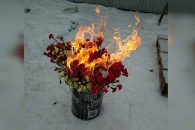 Опасные цветы: карантинные гвоздики сожгли в Ижевске