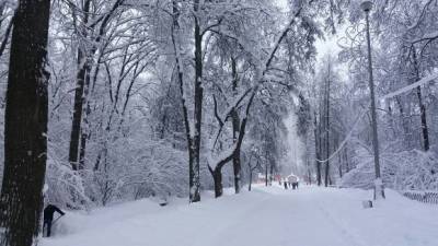 Москвичам обещают возвращение русской зимы к Рождеству