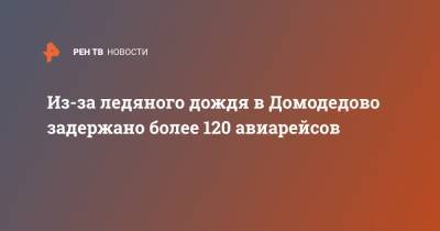 Из-за ледяного дождя в Домодедово задержано более 120 авиарейсов - ren.tv - Москва