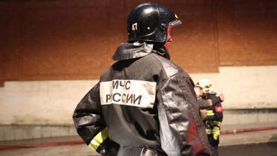 Около 1,5 тысячи спасателей будут дежурить в Москве в новогоднюю ночь