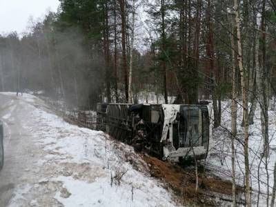 ДТП с автобусом произошло возле Шепелево