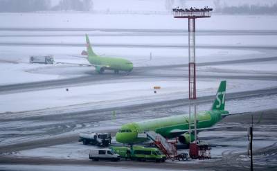 Ледяной дождь привёл к транспортному коллапсу в московских аэропортах
