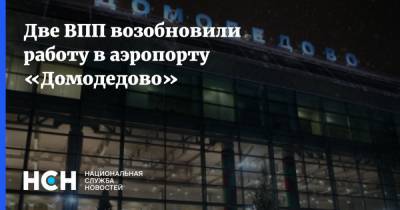 Две ВПП возобновили работу в аэропорту «Домодедово»