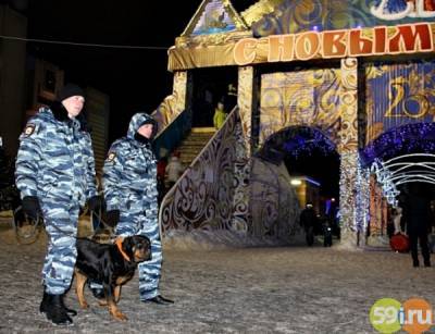 Охранять порядок во время новогодних праздничных мероприятий в Прикамье будут более 7000 человек