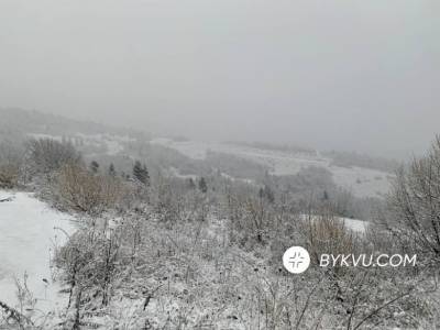 В‌ ‌Карпатах‌ ‌накануне‌ ‌Нового‌ ‌года‌ ‌мощный‌ ‌снегопад‌ ‌-‌ ‌фото‌ ‌