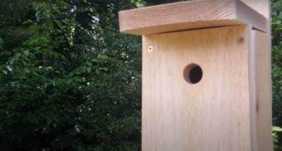 Спасение пернатых: Bentley создала домики для птиц и летучих мышей