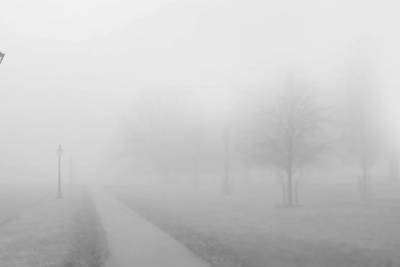 Сильный туман будет в Псковской области в первую ночь года