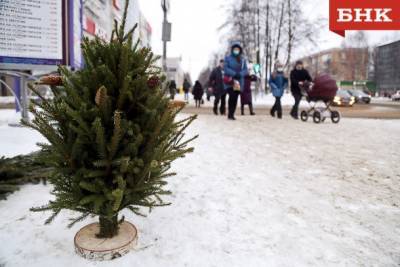 Синоптики Коми предсказали погоду на новогодние каникулы