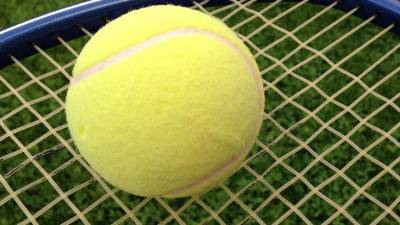 Теннисистка Веснина объявила о возвращении в большой спорт