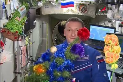 Космонавтов на МКС оставили без новогодних подарков