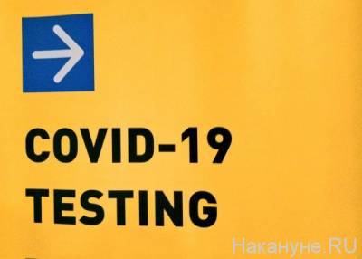 В России сократят выдачу тестов на COVID-19 до 24 часов