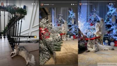 Российские звезды продемонстрировали новогодние убранства своих домов