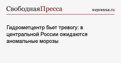 Гидрометцентр бьет тревогу: в центральной России ожидаются аномальные морозы