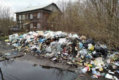 В Архангельске объявлен режим повышенной готовности из-за свалок мусора на островных территориях