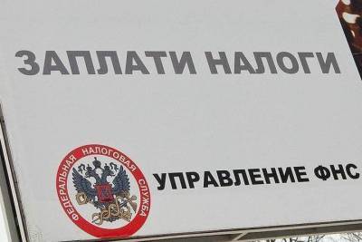 Костромские полицейские расследуют дело об уклонении от уплаты налогов в особо крупном размере