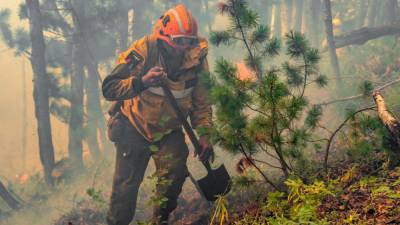 Томская область получит 100 млн рублей на закупку лесопожарной техники