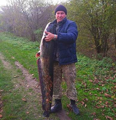 В Украине рыбак поймал гигантского сома (ФОТО)