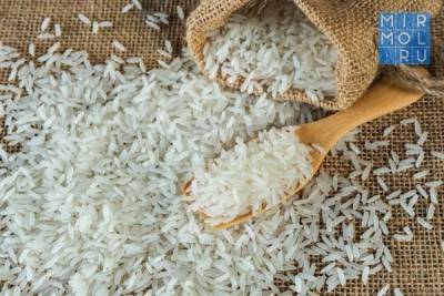 Дагестан к 2025 году планирует увеличить урожайность и валовой сбор риса
