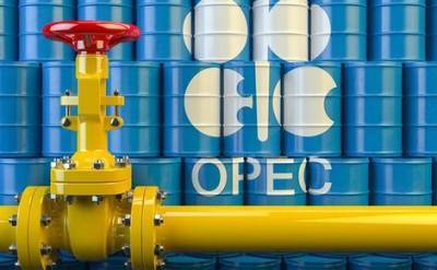 Страны-участники соглашения об ограничении добычи нефти договорились о новых параметрах на следующий год