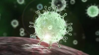 Ученые назвали продукты, которые блокируют коронавирус
