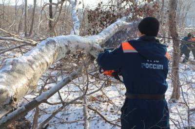 В Приморье сумма ущерба от циклона превысила миллиард рублей