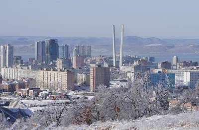 Ущерб от ледяного шторма в Приморье предварительно оценили в миллиард рублей