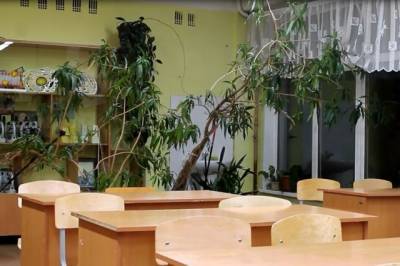 Картина дня в Хабкрае: скандал в школе №49 и кража ливнёвок