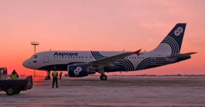 “Аэрофлот” продаёт половину авиакомпании “Аврора” за 1 рубль