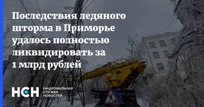 Последствия ледяного шторма в Приморье удалось полностью ликвидировать за 1 млрд рублей