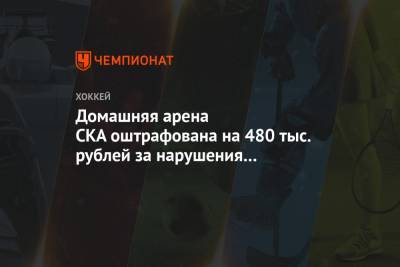 Домашняя арена СКА оштрафована на 480 тыс. рублей за нарушения на концерте Басты