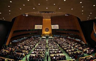 Представители ДНР и ЛНР впервые выступили в ООН
