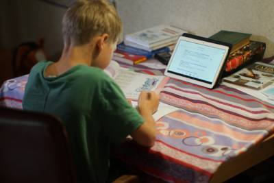 Более 20% российских школьников учатся дистанционно