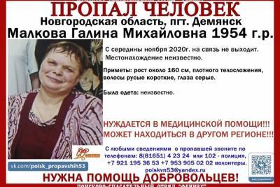 Жителей Тверской области просят помочь найти женщину из Новгородчины