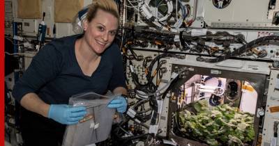 Астронавты впервые собрали урожай редиса на МКС