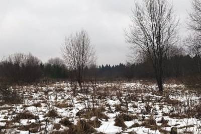 В Ивановской области оштрафовали собственника заброшенной земли