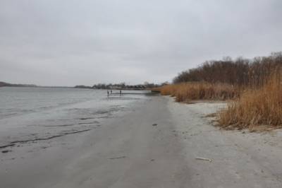 В ближайшие дни эксперты прогнозируют значительное снижение уровня воды в реке Дон