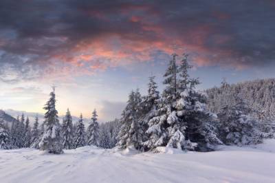 Мороз и солнце: синоптик рассказала о погоде в первые выходные декабря