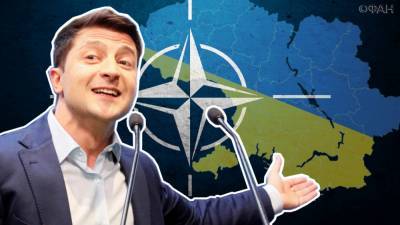 Елена Панина: Украина зазывает НАТО для спора с Россией и Венгрией