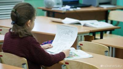 В Тюменской области продлили «дистант» для школьников. Но есть исключение