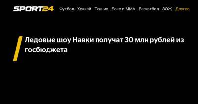 Ледовые шоу Навки получат 30 млн рублей из госбюджета