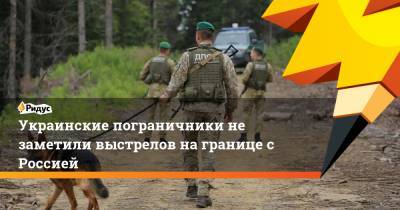 Украинские пограничники не заметили выстрелов на границе с Россией