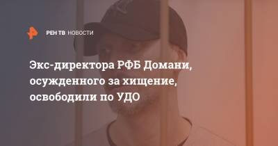 Экс-директора РФБ Домани, осужденного за хищение, освободили по УДО